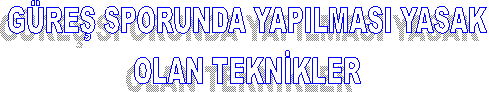 GÜREŞ SPORUNDA YAPILMASI YASAK
OLAN TEKNİKLER